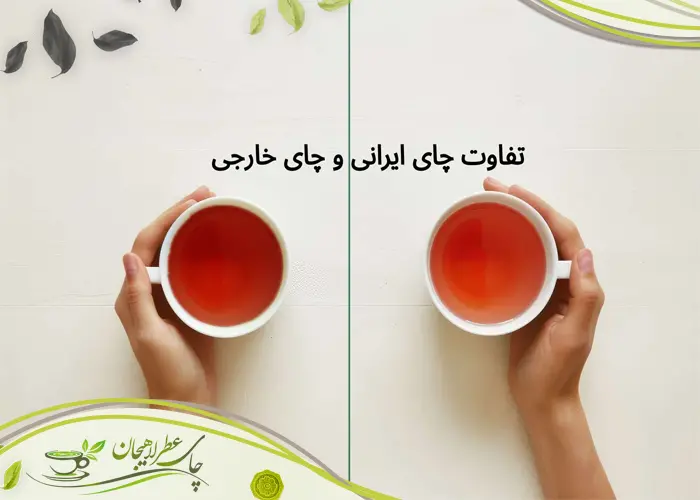 چای ایرانی بهتر است یا خارجی؟ مقایسه چای لاهیجان با چای وارداتی 1 چای ایرانی بهتر است یا خارجی؟ مقایسه چای لاهیجان با چای وارداتی