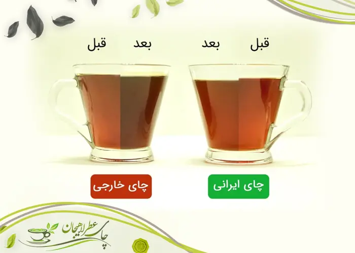 چای ایرانی بهتر است یا خارجی؟ مقایسه چای لاهیجان با چای وارداتی 2 چای-ایرانی-بهتر-است-یا-خارجی