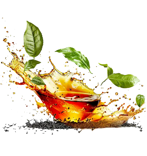 عطر لاهیجان 5 چای لاهیجان