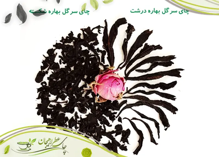 چگونه چای طبیعی لاهیجان اصل را تشخیص دهیم؟ 2 چگونه چای طبیعی لاهیجان اصل را تشخیص دهیم؟