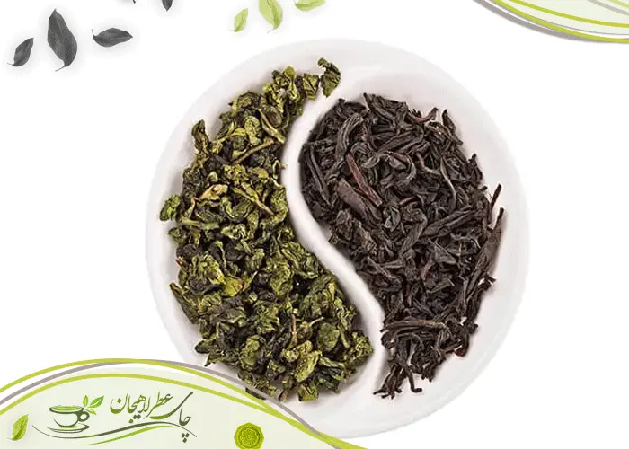 فرق چای سبز و سیاه چیست؟ بررسی تفاوتها و فواید هرکدام 1 تفاوت-فرآیند-تولید-چای-سبز-و-چای-سیاه
