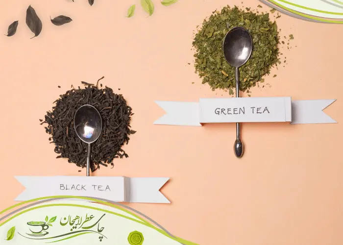 فرق چای سبز و سیاه چیست؟ بررسی تفاوتها و فواید هرکدام 2 فرق-چای-سبز-و-سیاه