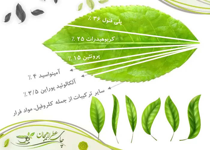 چگونه با ارزیابی چای از روی ظاهر برگ، کیفیت واقعی آن را تشخیص دهیم؟