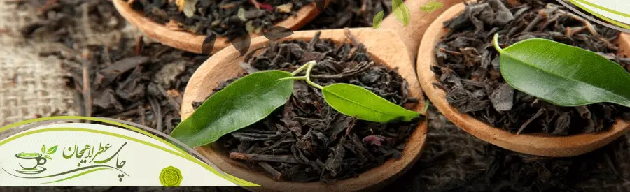 تشخیص-چای-لاهیجان-از-روی-ظاهر-برگ