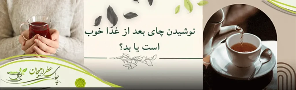 بهترین-فاصله-زمانی-برای-نوشیدن-چای-بعد-از-غذا