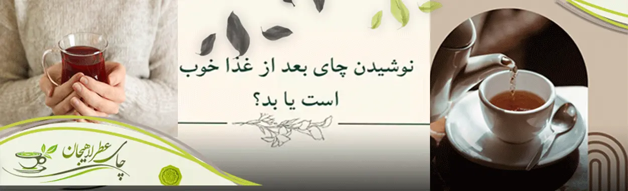 بهترین-فاصله-زمانی-برای-نوشیدن-چای-بعد-از-غذا