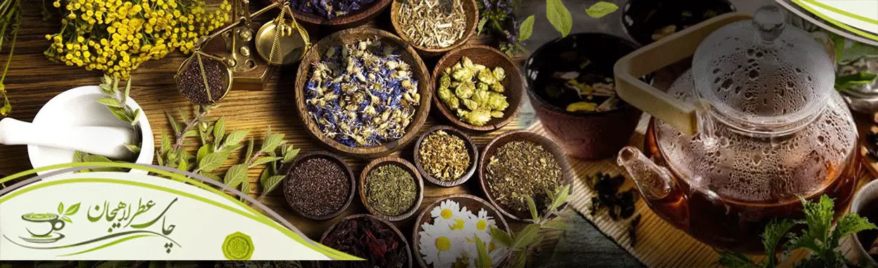 طرز-تهیه-چای-گیاهی